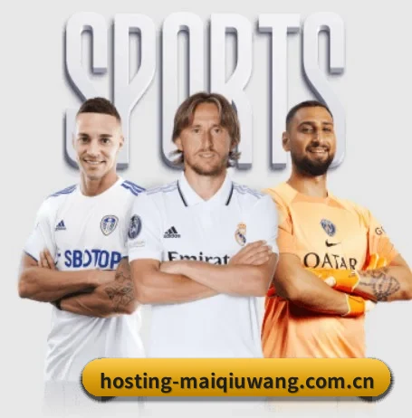 平台简介 - 体育资讯内容服务（maiqiuwang）